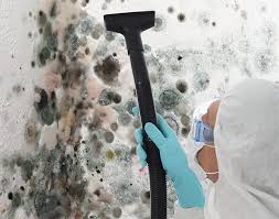 Reliable Rangely, CO Mold Remediation Solutions